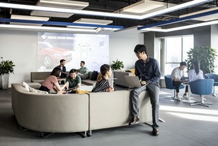 數(shù)字化與生物技術(shù)雙輪驅(qū)動，領(lǐng)悅數(shù)字信息技術(shù)掛牌助力華晨寶馬以客戶為中心戰(zhàn)略加速轉(zhuǎn)型